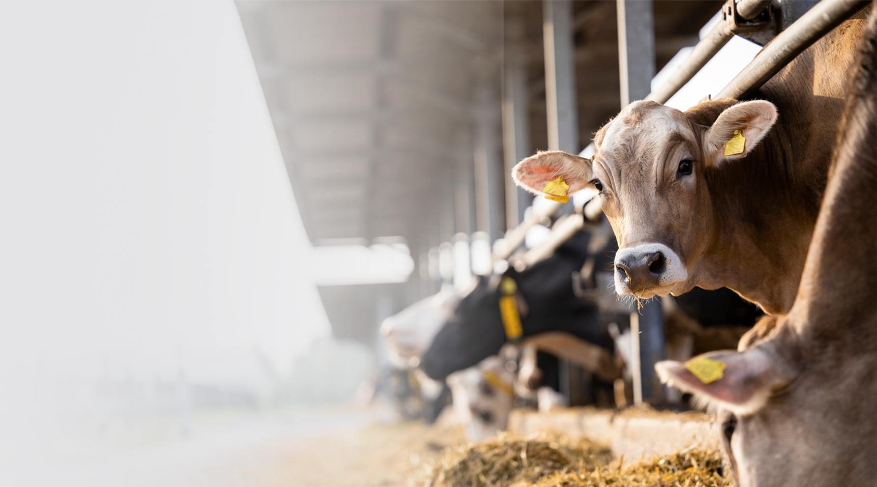 Agrar-Bürgschaft Slider